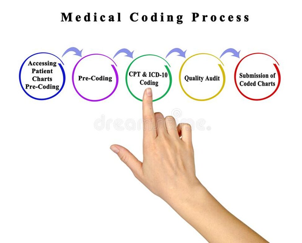 Student Resources Codes Unlimited Healthcare Academy